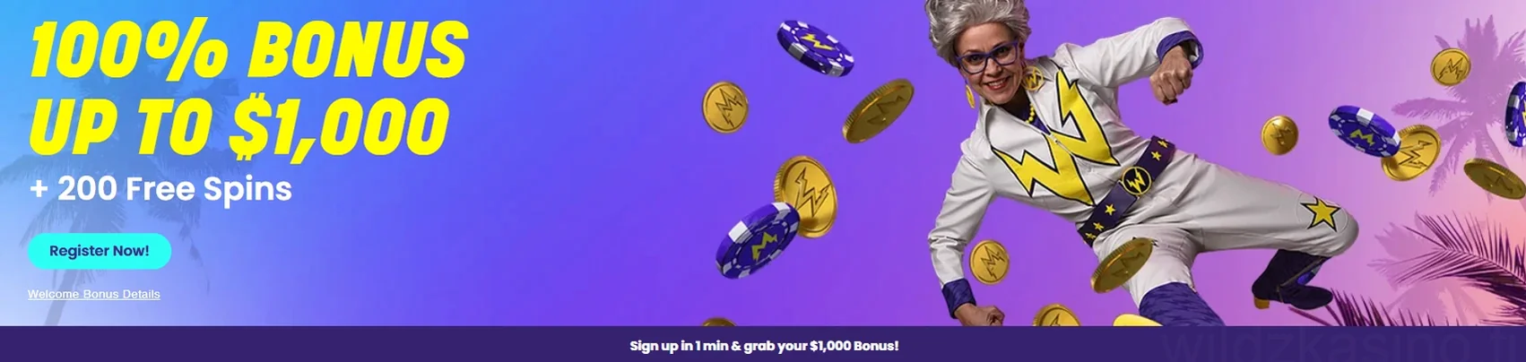 Wildz Casino Pelikokemus